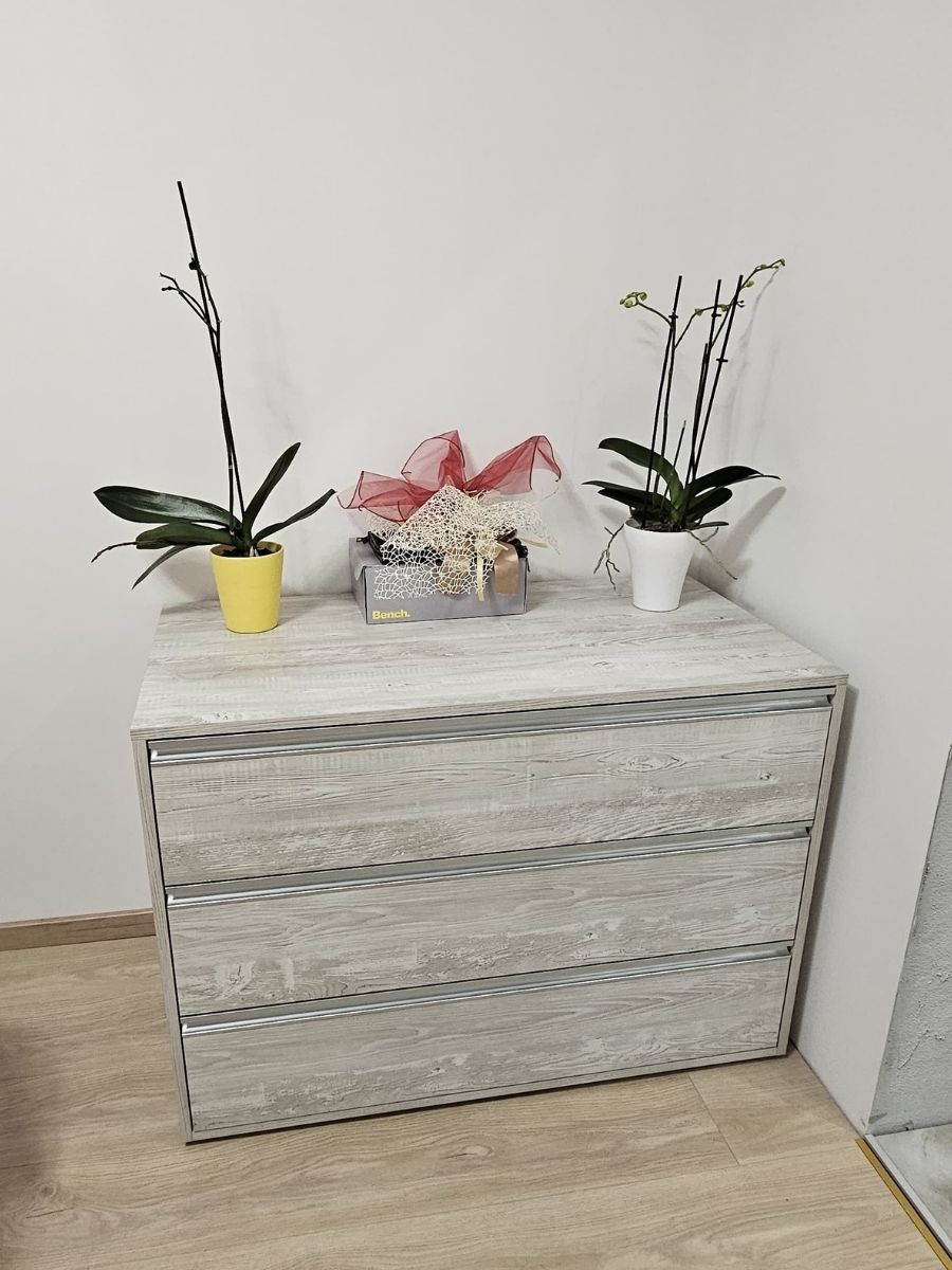 Untitled design (19)